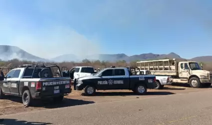 Incendio forestal Sonora