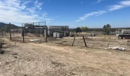 Polic�a Estatal aclara no haber incautado tigre de bengala