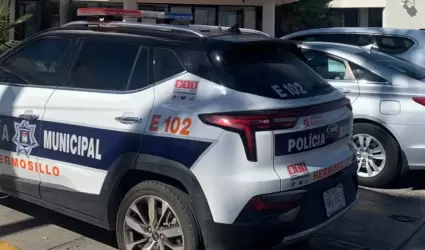 Persiguen y capturan a ladrones de autopartes