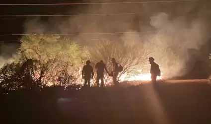 Incendios forestales afectan miles de hectreas en Sonora