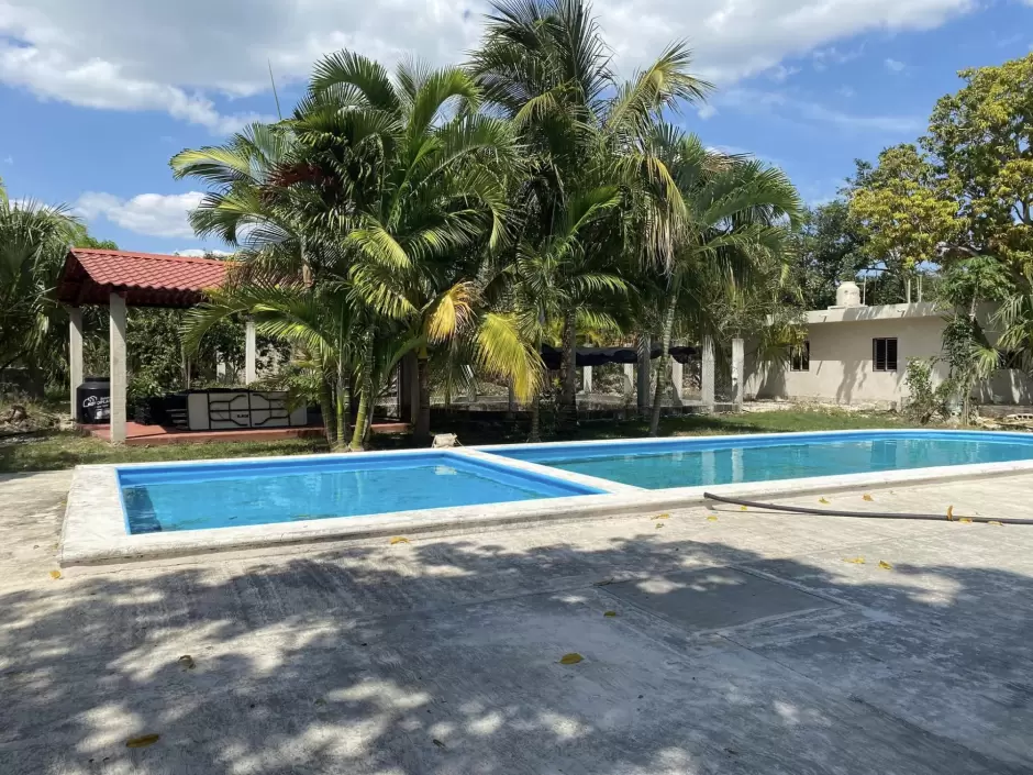 Quinta el gato, en Yucatn