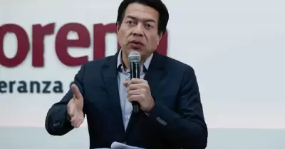 Mario Delgado, Dirigente Nacional de Morena