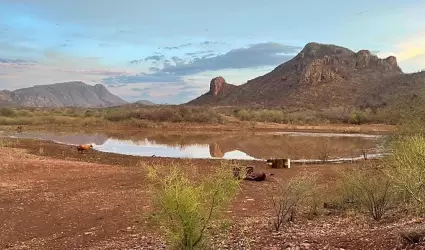 Se rehabilitarn 300 represos que fueron afectados por las lluvias del ao pasad