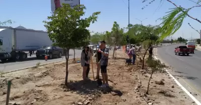 El colectivo Caminantes del Desierto reforesta camelln