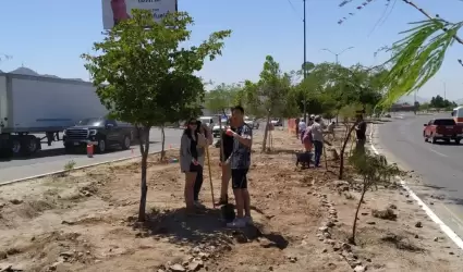 El colectivo Caminantes del Desierto reforesta camelln