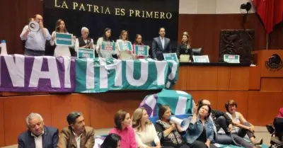 Toma de la tribuna del Senado