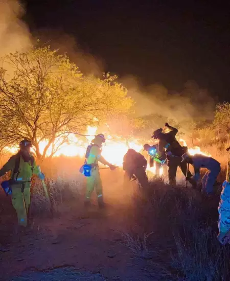 Incendio forestal en Carbó