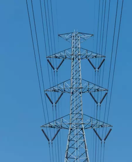 Subsidio a la tarifa el�ctrica.