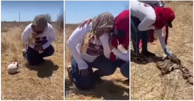 Los restos fueron localizados en un terreno cercano a la carretera entre Hermosi