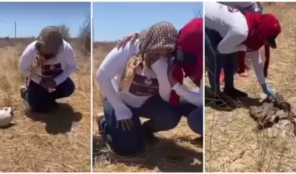 Los restos fueron localizados en un terreno cercano a la carretera entre Hermosi