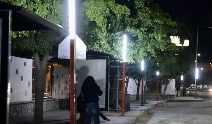 Luminarias son instaladas en sectores de la ciudad bajo el programa "Camina Segu