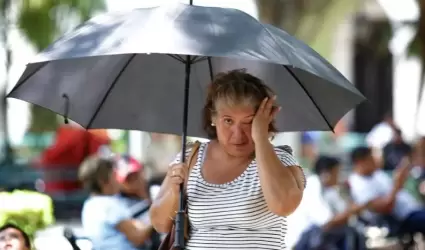 Se esperan temperaturas mximas que podran alcanzar los 40 grados