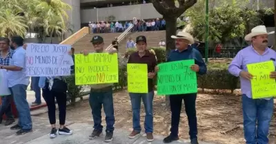 Manifestacin de productores de Sinaloa