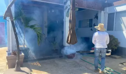 Fumigacin en casas