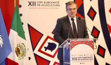 Marcelo Ebrard, Titular de la SRE en su visita a Hermosillo