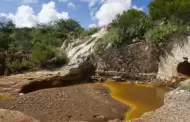 A 10 aos del derrame, no se ha recuperado economa de los ros Bacanuchi y Sonora