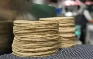 Hermosillo, la ciudad con la tortilla de maz ms cara en Mxico