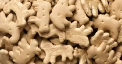 Galletas de animalitos