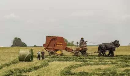 tecnologias en agricultura