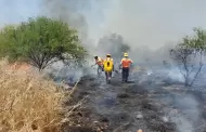 Registra Sonora16 incendios forestales en lo que va del ao