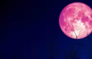 Luna de Fresa 2025: cundo ver el fenmeno astronmico?