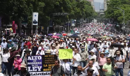 Marcha nacional en defensa de la Suprema Corte de Justicia de la Nacin