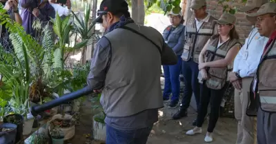 Estrategia integral "Combatimos el dengue a Ras de suelo"