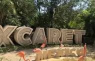 Grupo Xcaret emite postura sobre resolucin de retiro de smbolos mayas de sus parques