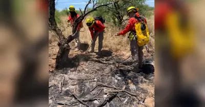 Brigada Estatal de Manejo de Fuego