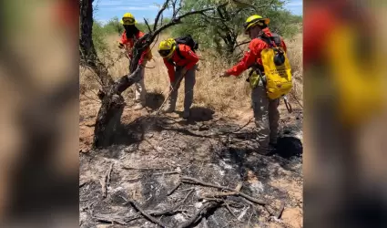 Brigada Estatal de Manejo de Fuego