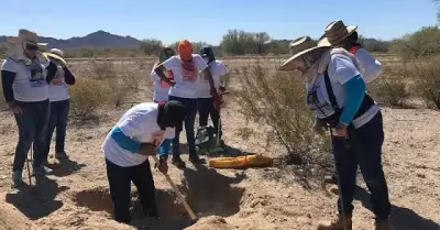 Bsqueda de desaparecidos