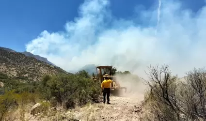 Incendio forestal en muris