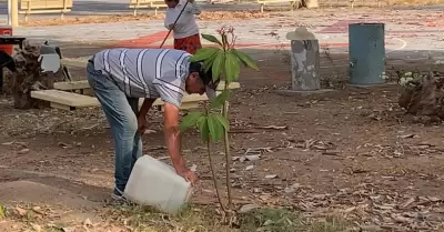 Jornada de limpieza en La Sauceda