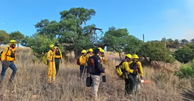 Brigadistas combaten incendio forestl en muris