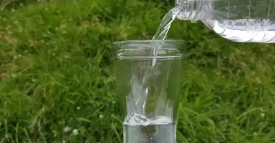 Vaso con agua