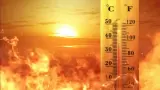 Ola de calor