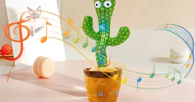 cactus bailarin