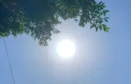 Cmo se sentir en Mxico la Cancula 2025? Esto dice la IA