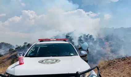 Controlan al cien por ciento incendio forestal en Nogales