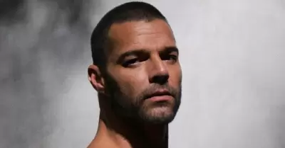 Ricky Martin se convirti en padre en 2008.