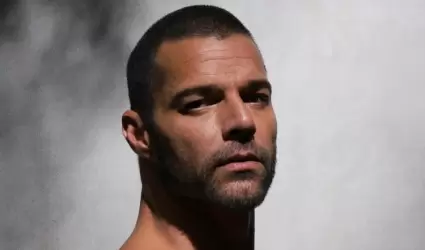 Ricky Martin se convirti en padre en 2008.