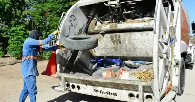 basurero, recolector