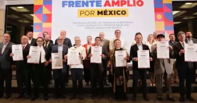 Aspirantes a la candidatura presidencial por el FAM