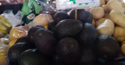 Aguacate registra aumento de precio