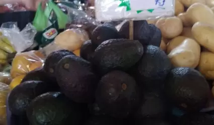 Aguacate