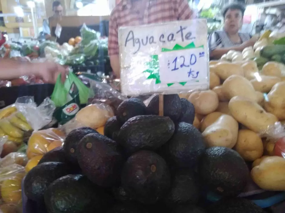 Aguacate sube de precio otra vez