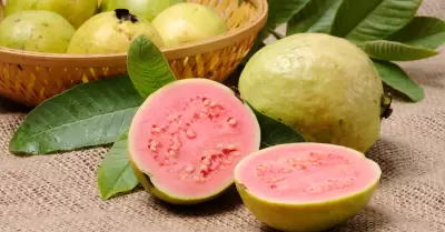 Cesta llena de guayabas