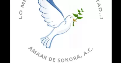 AMAAR DE SONORA