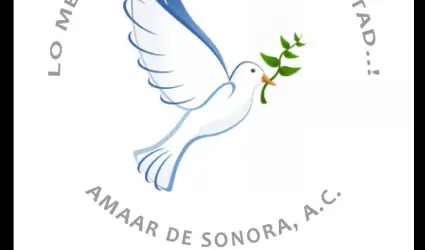 AMAAR DE SONORA