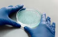 Bacteria "carnvora" en Japn sigue en aumento